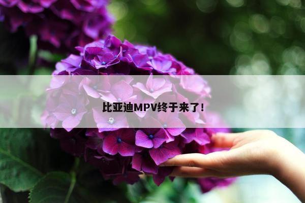 比亚迪MPV终于来了！