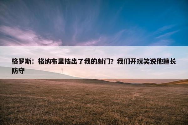 格罗斯：格纳布里挡出了我的射门？我们开玩笑说他擅长防守