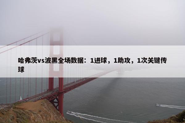 哈弗茨vs波黑全场数据：1进球，1助攻，1次关键传球