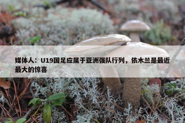 媒体人：U19国足应属于亚洲强队行列，依木兰是最近最大的惊喜