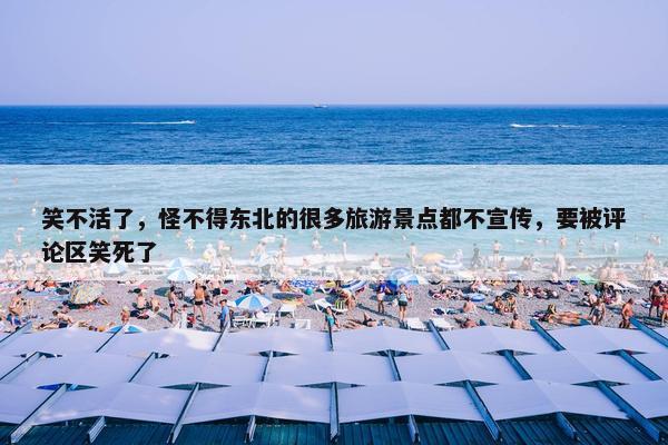 笑不活了，怪不得东北的很多旅游景点都不宣传，要被评论区笑死了