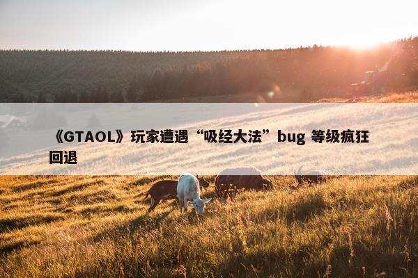 《GTAOL》玩家遭遇“吸经大法”bug 等级疯狂回退