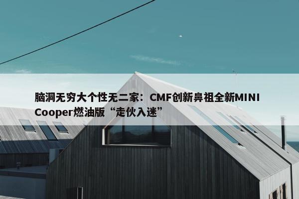 脑洞无穷大个性无二家：CMF创新鼻祖全新MINI Cooper燃油版“走伙入迷”