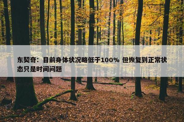 东契奇：目前身体状况略低于100% 但恢复到正常状态只是时间问题