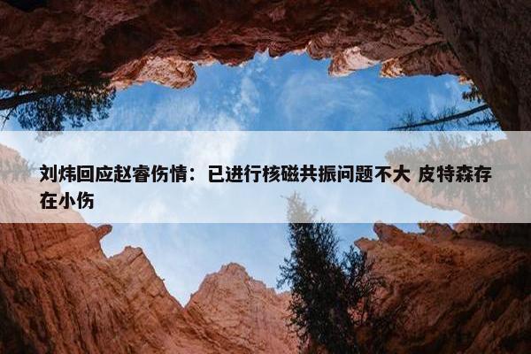 刘炜回应赵睿伤情：已进行核磁共振问题不大 皮特森存在小伤