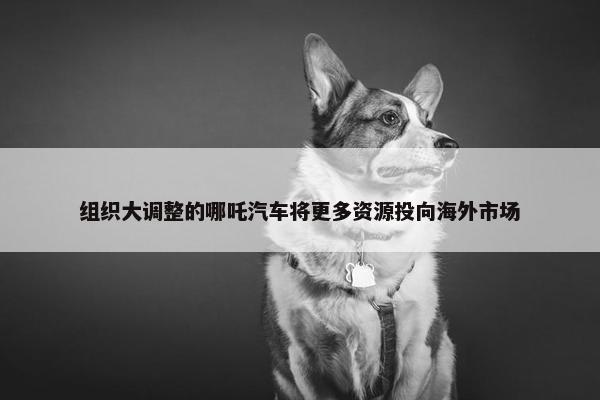 组织大调整的哪吒汽车将更多资源投向海外市场