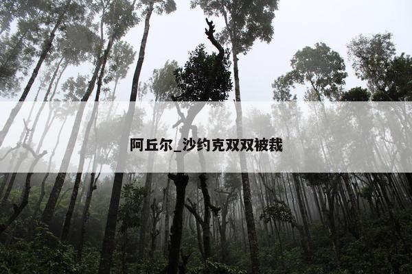 阿丘尔_沙约克双双被裁