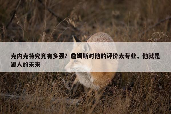 克内克特究竟有多强？詹姆斯对他的评价太专业，他就是湖人的未来