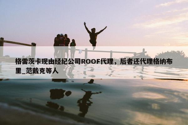 格雷茨卡现由经纪公司ROOF代理，后者还代理格纳布里_范戴克等人