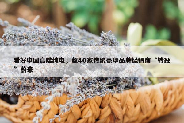 看好中国高端纯电，超40家传统豪华品牌经销商“转投”蔚来