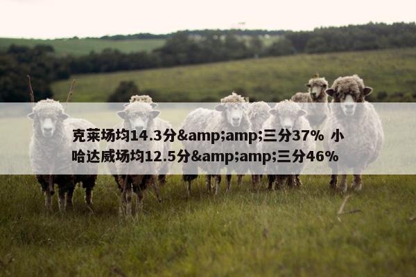 克莱场均14.3分&amp;三分37% 小哈达威场均12.5分&amp;三分46%