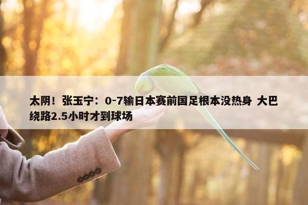 太阴！张玉宁：0-7输日本赛前国足根本没热身 大巴绕路2.5小时才到球场