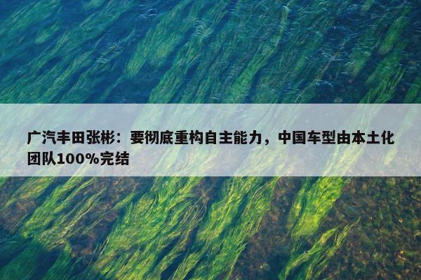 广汽丰田张彬：要彻底重构自主能力，中国车型由本土化团队100%完结