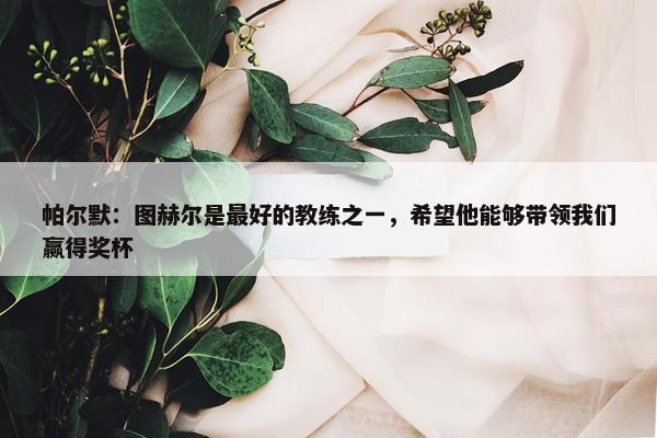 帕尔默：图赫尔是最好的教练之一，希望他能够带领我们赢得奖杯