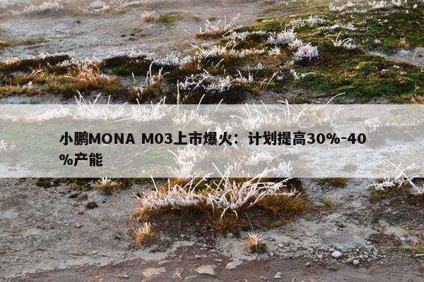 小鹏MONA M03上市爆火：计划提高30%-40%产能