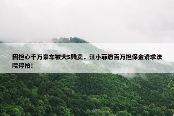 因担心千万豪车被大S贱卖，汪小菲缴百万担保金请求法院停拍！