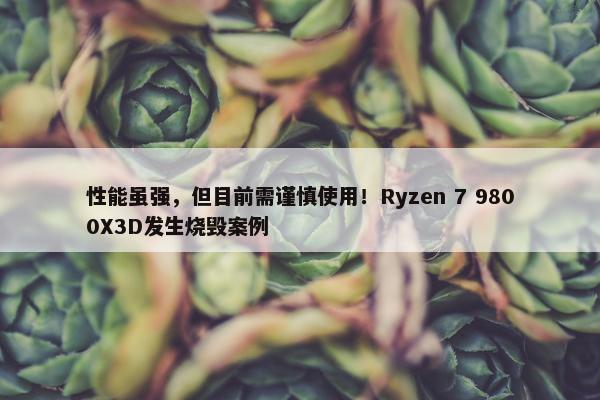 性能虽强，但目前需谨慎使用！Ryzen 7 9800X3D发生烧毁案例