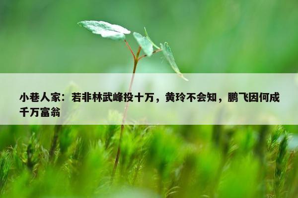 小巷人家：若非林武峰投十万，黄玲不会知，鹏飞因何成千万富翁