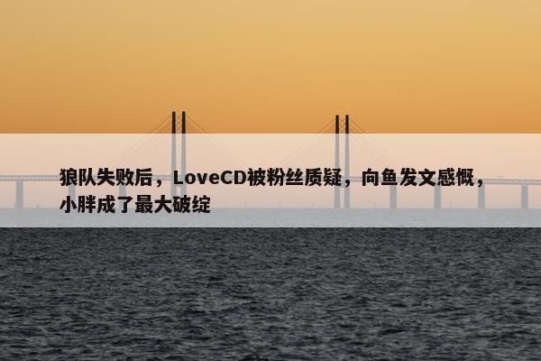 狼队失败后，LoveCD被粉丝质疑，向鱼发文感慨，小胖成了最大破绽