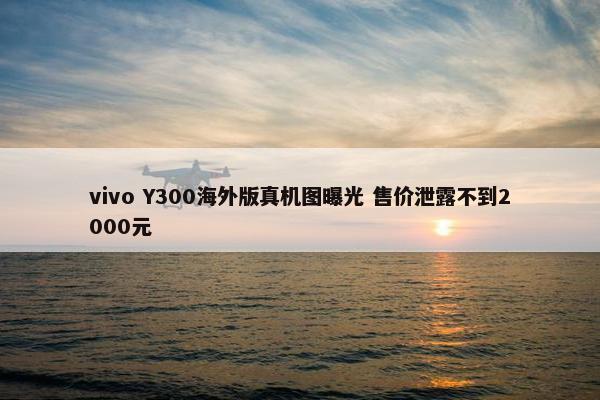 vivo Y300海外版真机图曝光 售价泄露不到2000元