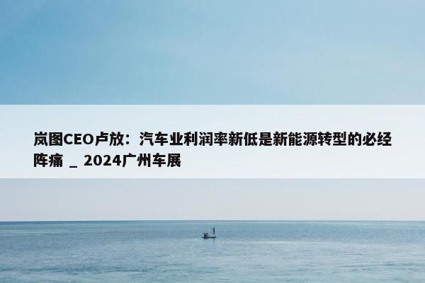 岚图CEO卢放：汽车业利润率新低是新能源转型的必经阵痛 _ 2024广州车展