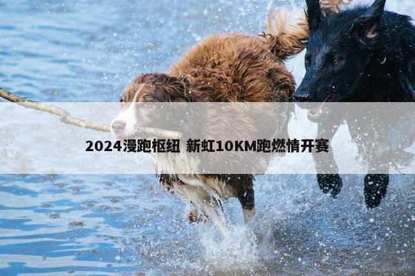 2024漫跑枢纽 新虹10KM跑燃情开赛