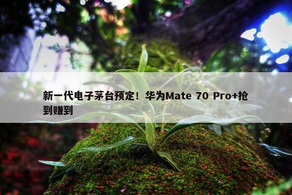 新一代电子茅台预定！华为Mate 70 Pro+抢到赚到