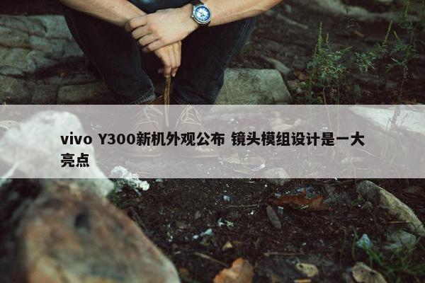 vivo Y300新机外观公布 镜头模组设计是一大亮点