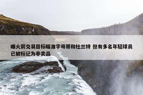 曝火箭交易目标瞄准字母哥和杜兰特 但有多名年轻球员已被标记为非卖品