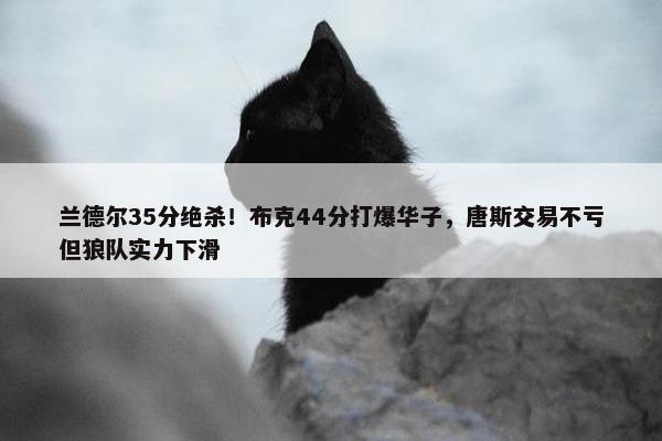 兰德尔35分绝杀！布克44分打爆华子，唐斯交易不亏但狼队实力下滑