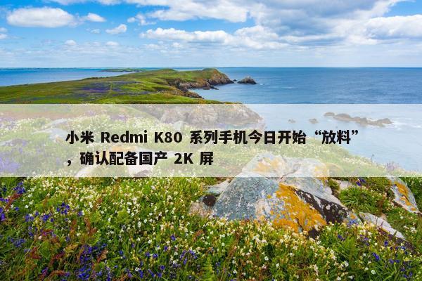 小米 Redmi K80 系列手机今日开始“放料”，确认配备国产 2K 屏