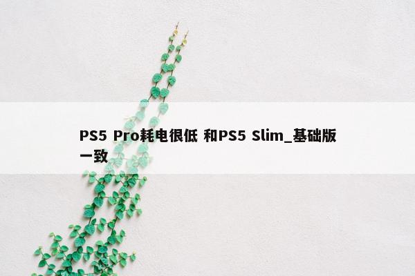 PS5 Pro耗电很低 和PS5 Slim_基础版一致