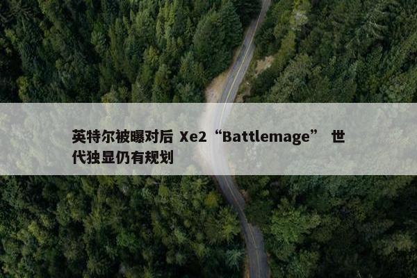 英特尔被曝对后 Xe2“Battlemage” 世代独显仍有规划