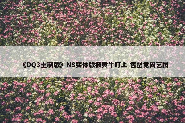 《DQ3重制版》NS实体版被黄牛盯上 售罄竟因艺图