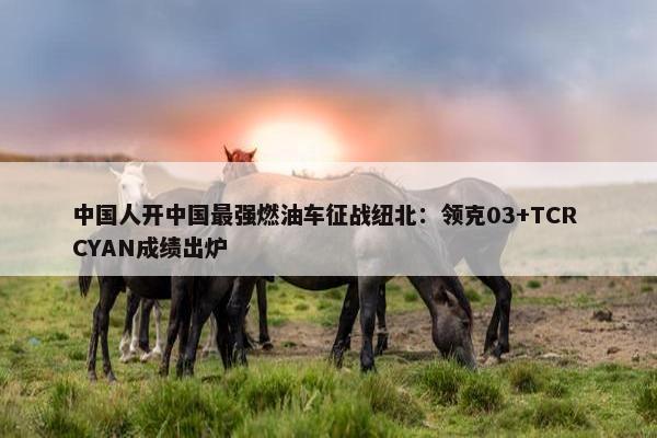 中国人开中国最强燃油车征战纽北：领克03+TCR CYAN成绩出炉