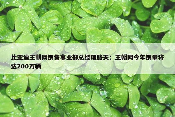 比亚迪王朝网销售事业部总经理路天：王朝网今年销量将达200万辆