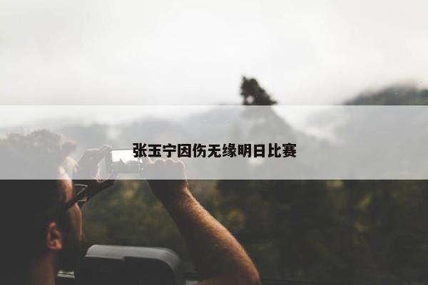 张玉宁因伤无缘明日比赛