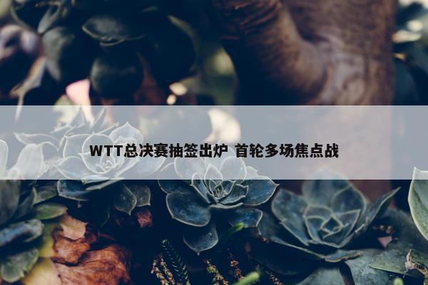 WTT总决赛抽签出炉 首轮多场焦点战