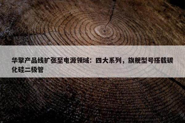 华擎产品线扩张至电源领域：四大系列，旗舰型号搭载碳化硅二极管