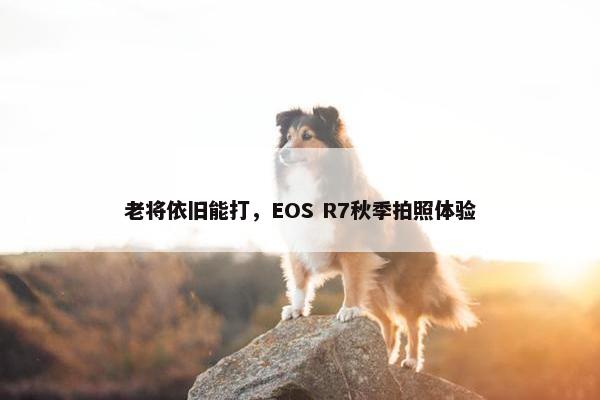 老将依旧能打，EOS R7秋季拍照体验