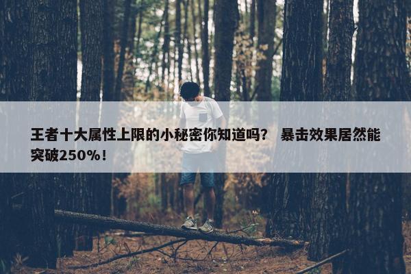 王者十大属性上限的小秘密你知道吗？ 暴击效果居然能突破250%！