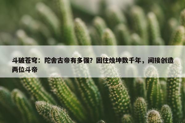 斗破苍穹：陀舍古帝有多强？困住烛坤数千年，间接创造两位斗帝