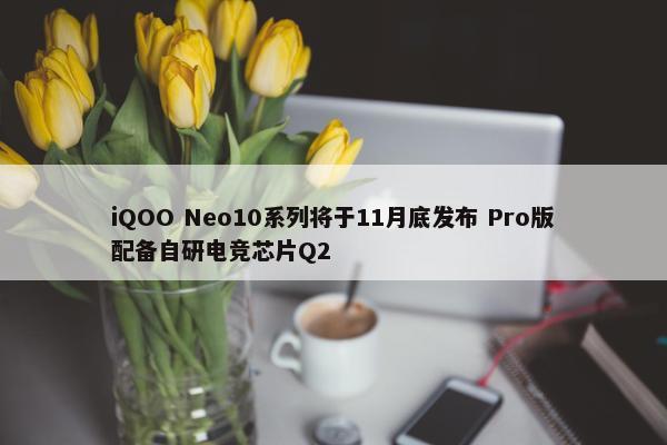 iQOO Neo10系列将于11月底发布 Pro版配备自研电竞芯片Q2