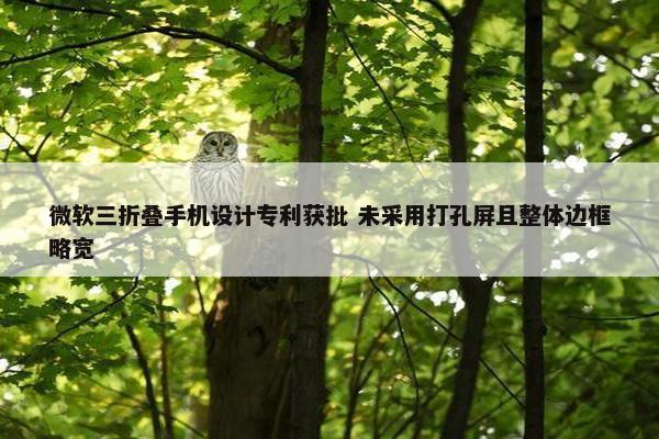 微软三折叠手机设计专利获批 未采用打孔屏且整体边框略宽