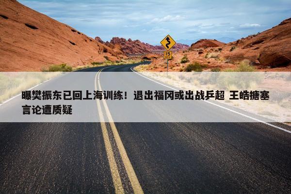 曝樊振东已回上海训练！退出福冈或出战乒超 王皓搪塞言论遭质疑