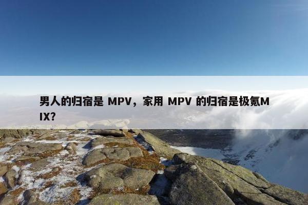 男人的归宿是 MPV，家用 MPV 的归宿是极氪MIX？