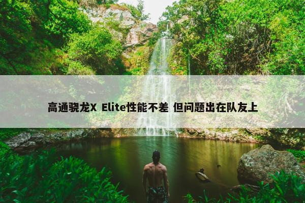 高通骁龙X Elite性能不差 但问题出在队友上