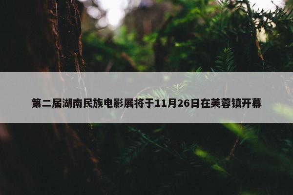 第二届湖南民族电影展将于11月26日在芙蓉镇开幕