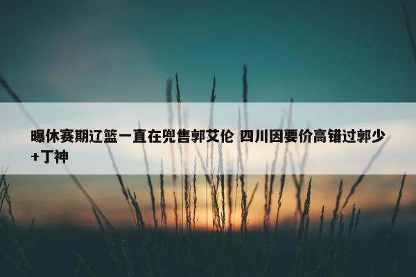 曝休赛期辽篮一直在兜售郭艾伦 四川因要价高错过郭少+丁神