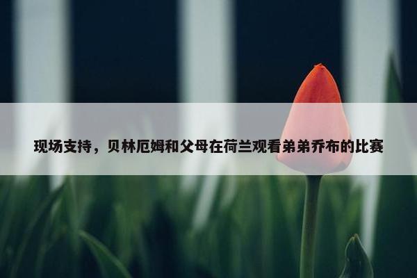 现场支持，贝林厄姆和父母在荷兰观看弟弟乔布的比赛